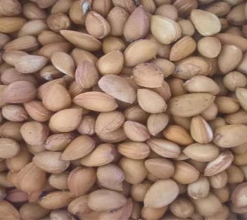 طبع الوک کوهی