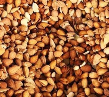 الوک کوهی سرد است یا گرم