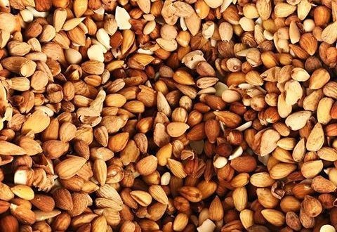 الوک کوهی سرد است یا گرم