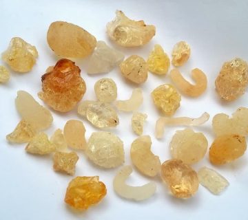 انواع صمغ و مغز الوک