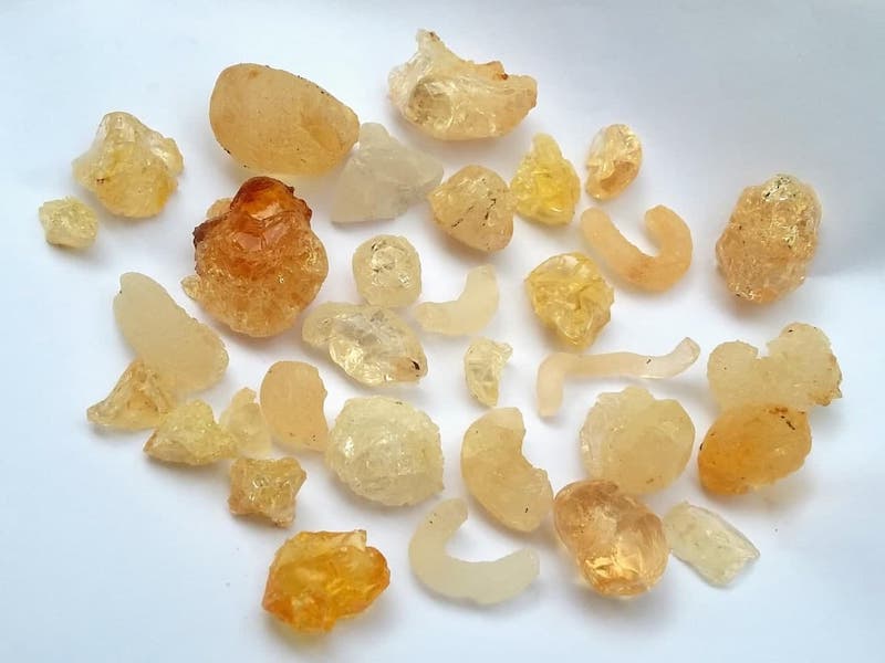 انواع صمغ و مغز الوک