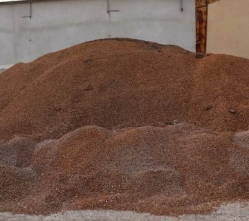 خرید عمده پوست اهلوک