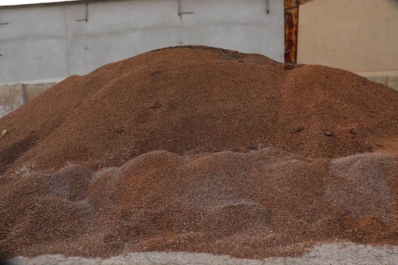 خرید عمده پوست اهلوک