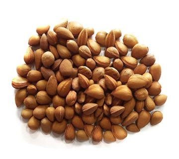 خواص بخورک (بادام کوهی)