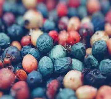 خواص دارویی کلخنگ