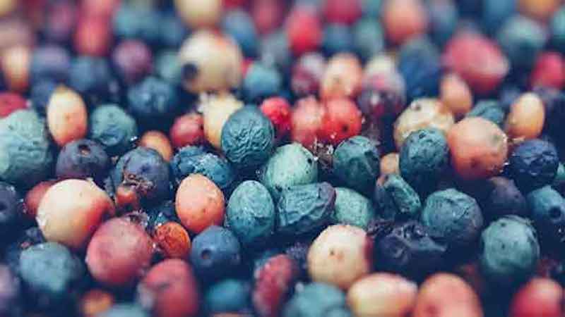 خواص دارویی کلخنگ