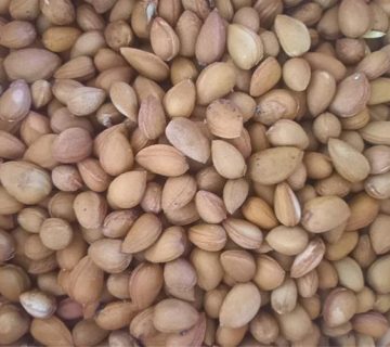 مغز الوک شیرین شده