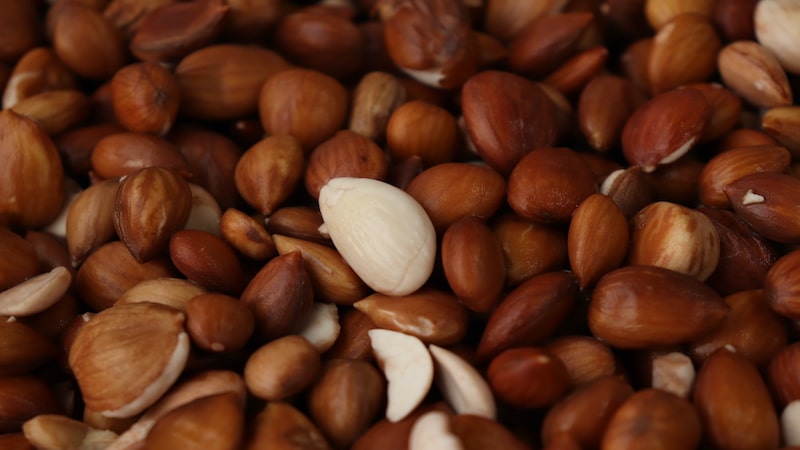 کارخانه تولیدی الوک شیراز