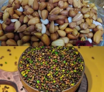 تفاوت بنه و الوک