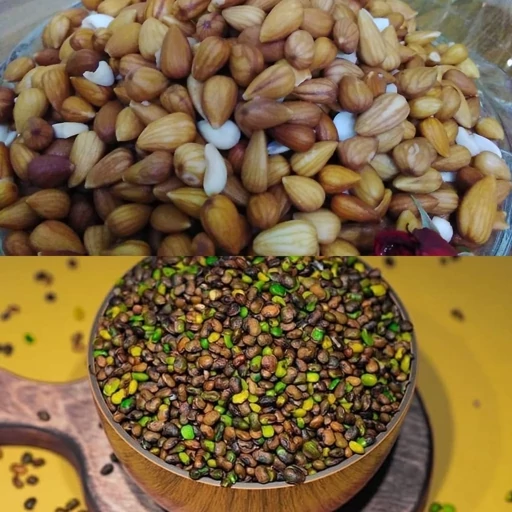 تفاوت بنه و الوک