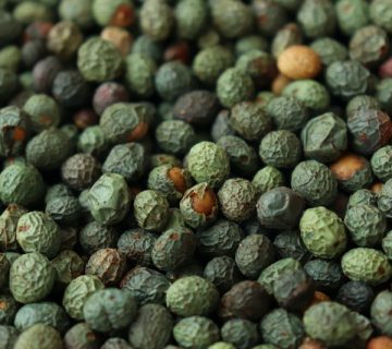 خرید بنه در شیراز