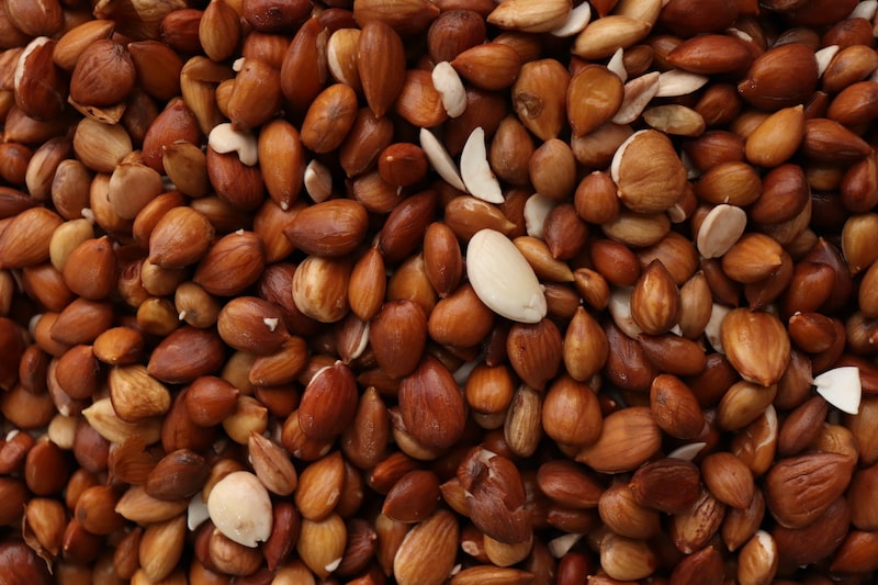 خواص پاسورک