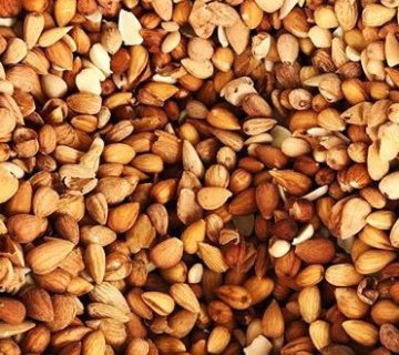 مغز بخورک