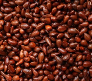 پاسورک چیست