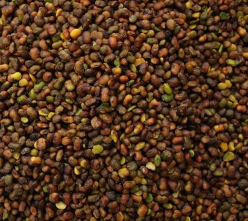 کارخانه بنه شیراز و کازرون