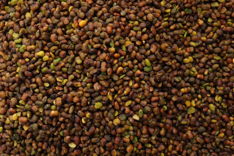 کارخانه بنه شیراز و کازرون