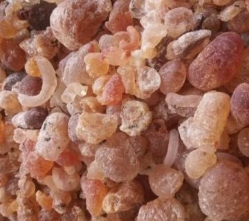 صمغ بادام کوهی (صمغ زدو)