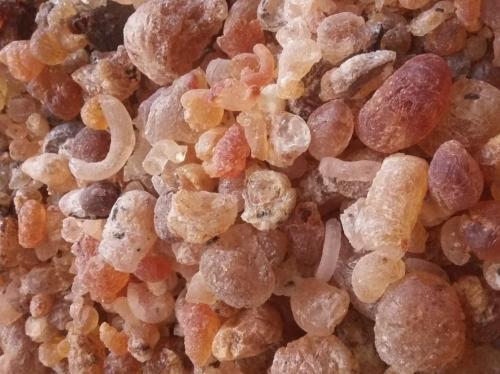 صمغ بادام کوهی (صمغ زدو)