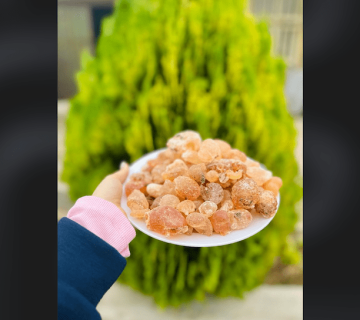 صمغ بادام کوهی (صمغ زدو)