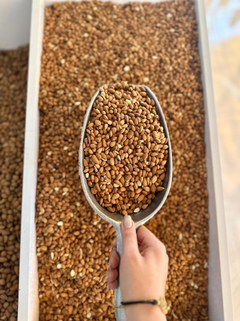 خشکبار حسینی