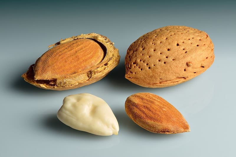 آجیل برای بارداری